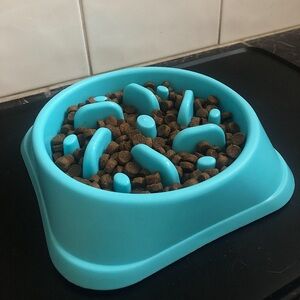 Slow feeder dog food bowl